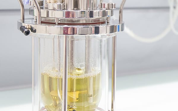 Glass bioreactor vessel with yellow cell culture media, bubbling, and internal impeller components, with stainless steel top plate