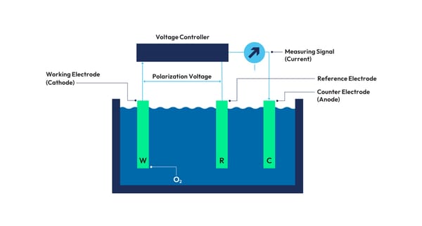 Polarographic do sensor diagram