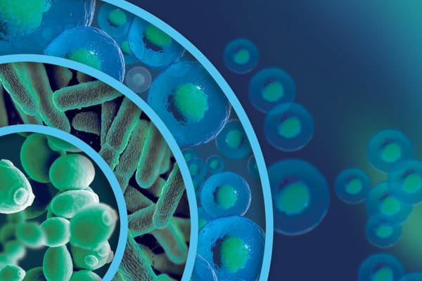 3D illustration of mixed microorganisms: rod-shaped bacteria, yeast cells, and spherical cells with visible nuclei
