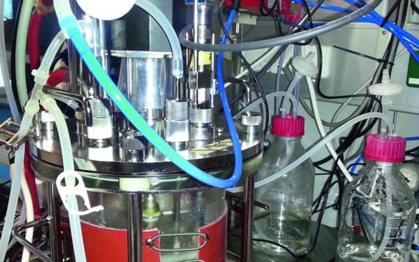 Actively monitoring CHO cell culture