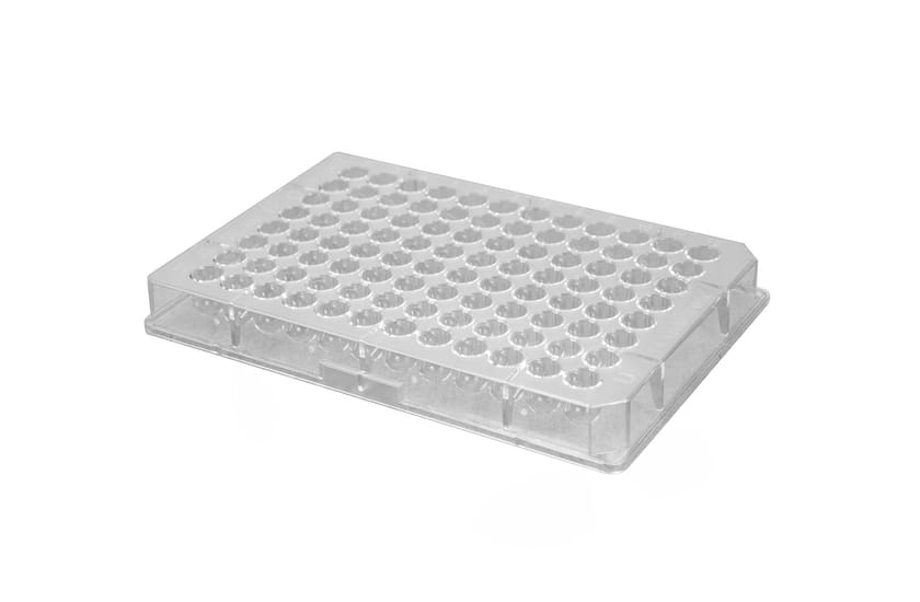 Clear transparent 96-well microplate with round bottom wells, angled view, white background.