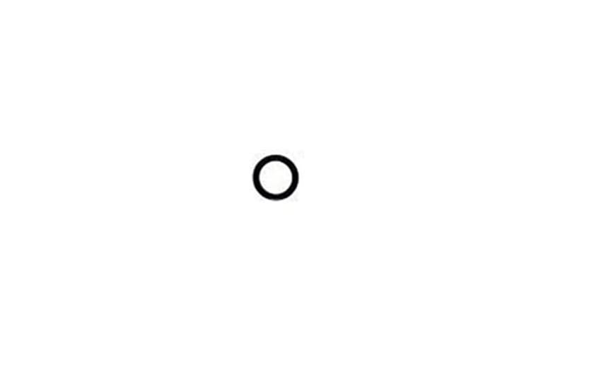 Small black O-ring on a white background