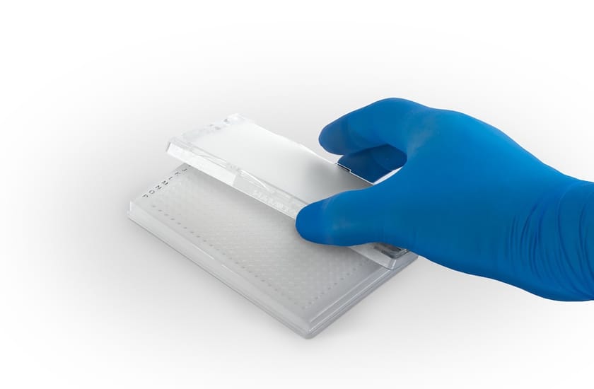 hamilton pcr comfortlid