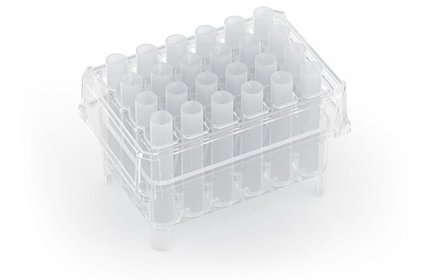 Clear plastic rack holding 24 translucent tube pedestals arranged in a 4×6 grid
