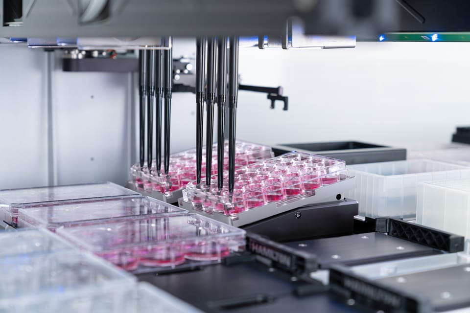 Automated liquid handler with multi-channel pipette head dispensing into pink-filled multi-well cell culture plates
