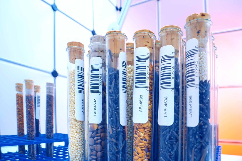 Seed biobanking