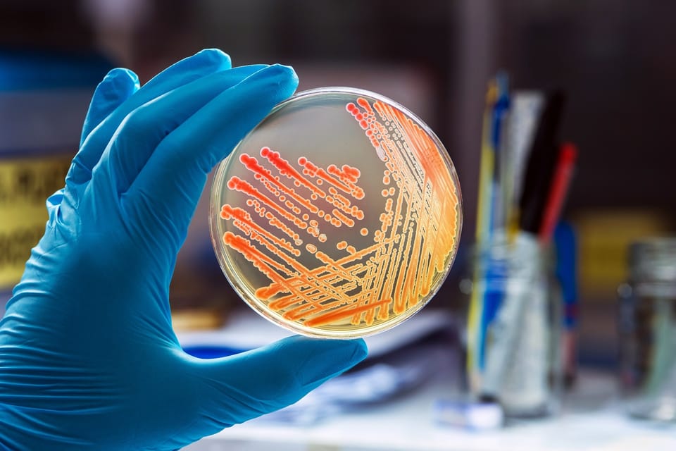 microbiology